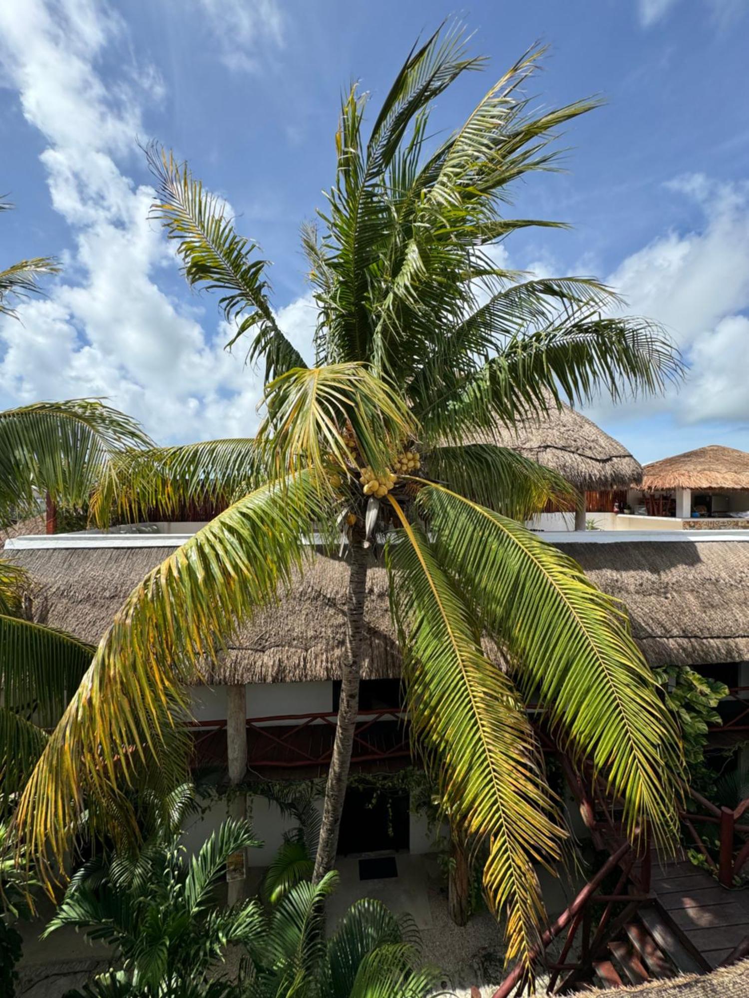 Kin Ha Tulum Hotel Ngoại thất bức ảnh